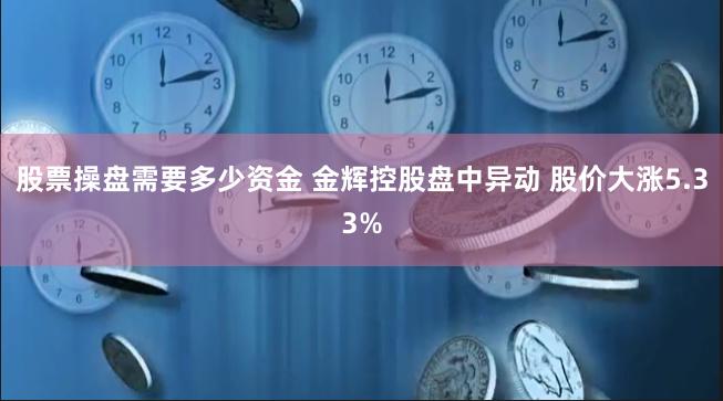 股票操盘需要多少资金 金辉控股盘中异动 股价大涨5.33%