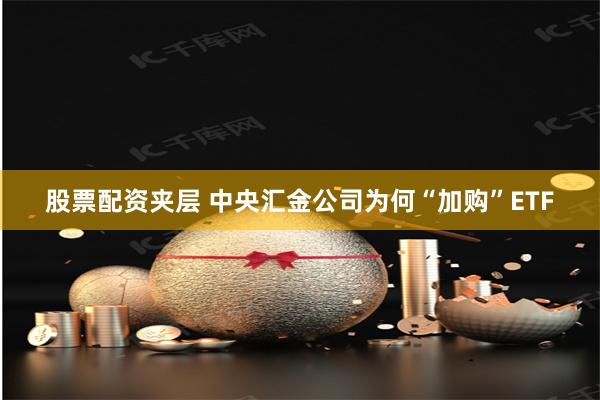 股票配资夹层 中央汇金公司为何“加购”ETF