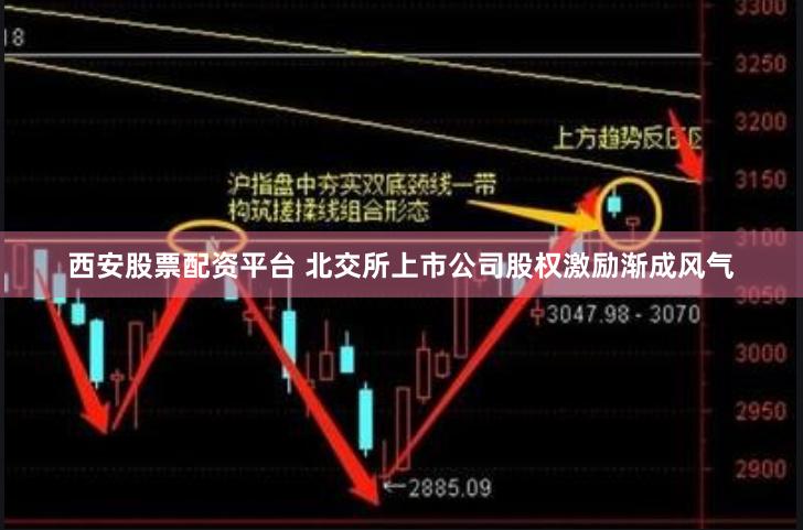 西安股票配资平台 北交所上市公司股权激励渐成风气