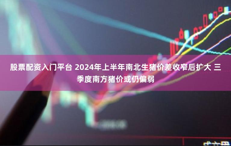 股票配资入门平台 2024年上半年南北生猪价差收窄后扩大 三季度南方猪价或仍偏弱