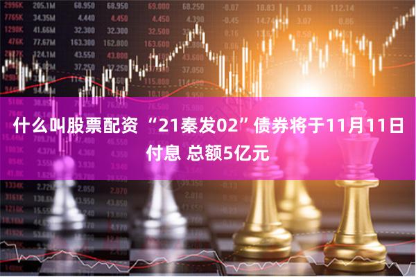 什么叫股票配资 “21秦发02”债券将于11月11日付息 总额5亿元